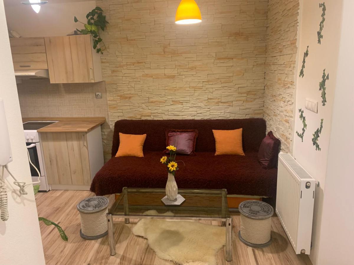 Apartman Slunecnice S Terasou Чеське Будєйовіце Екстер'єр фото